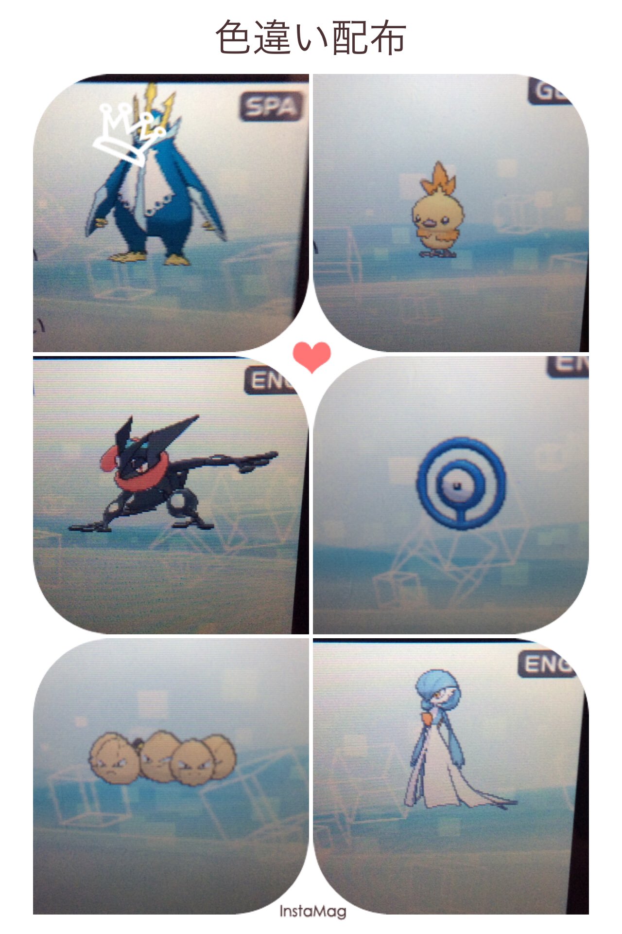ライデン ポケモン垢 Raiden Blaziken Twitter