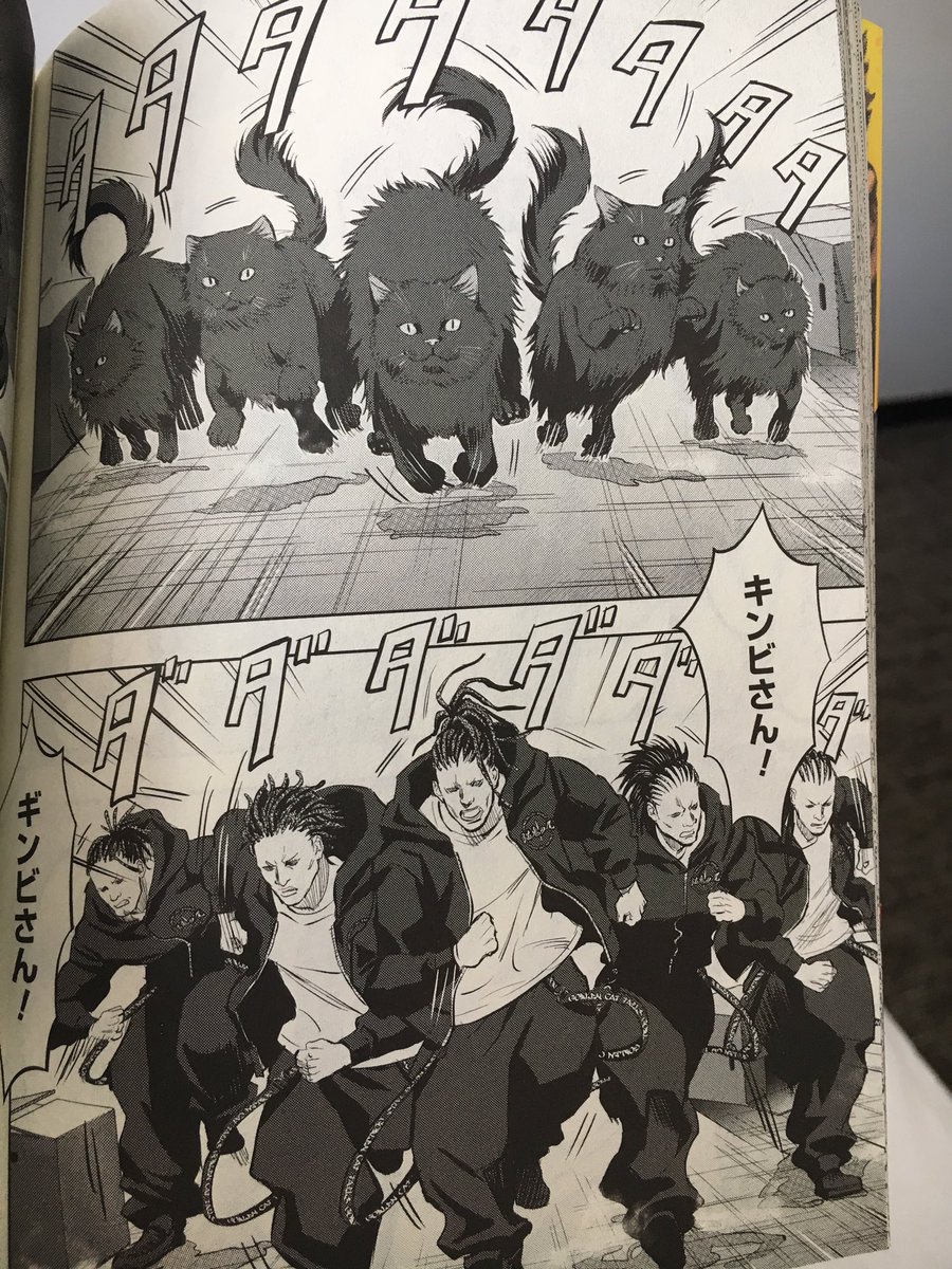 explosión Desconfianza Meditativo Deb Aoki on Twitter: "Weird manga find #1 - Nyankees by Atsushi Okada -  stray cats as human street thugs . Clever and silly!  https://t.co/881lVh7Uza" / Twitter