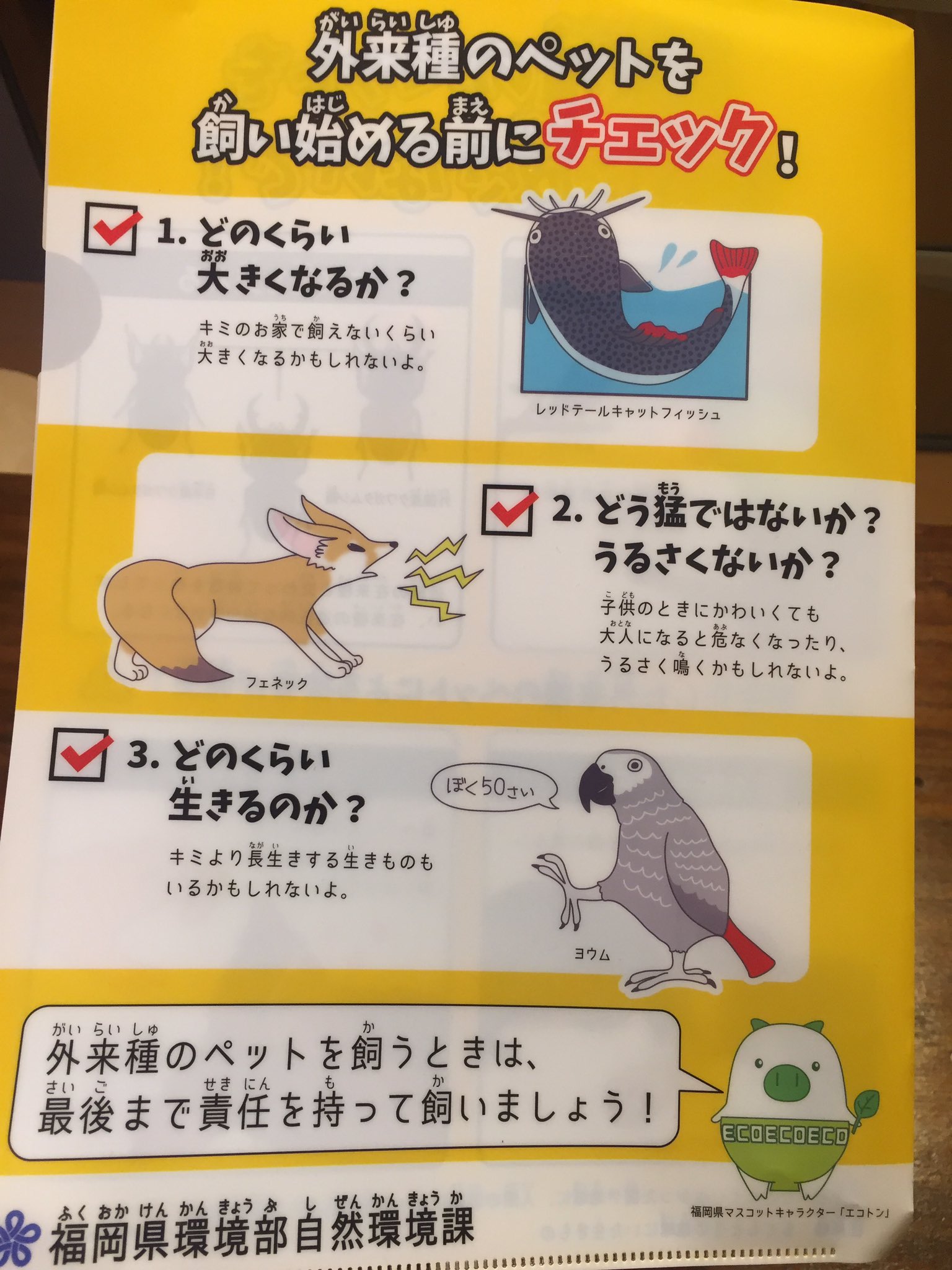 丸山宗利 Maruyama 福岡県の外来種 問題啓発ポスター よくできてる 巨大水槽でしか飼えない熱帯魚や成長すると獰猛になる哺乳類や長寿な動物 カメやオウム が安易に売り買いされすぎている そして安易に手に入るから 安易に 逃がす人も出て来てしまい