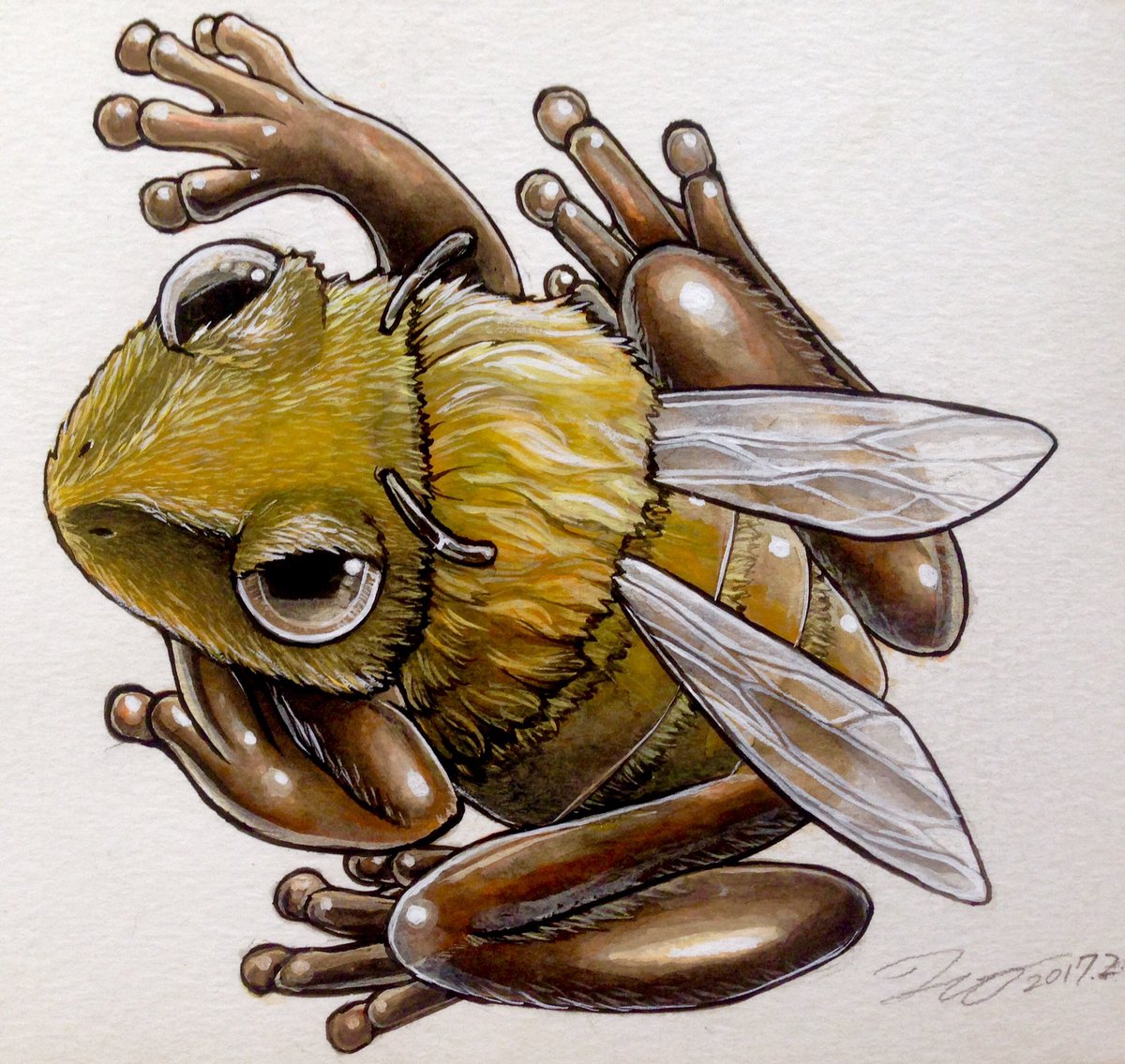 「「 #カエルメイト 」より
●ハチガエル

まるで蜂のような #カエル 。飛ぶこ」|ヒキタ レオ▶︎引田 玲雄のイラスト
