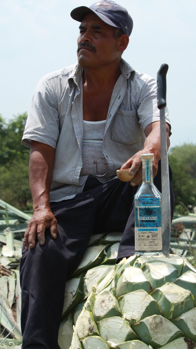 We never stop. #SundayFunday with mezcal &amp; maguey #VivaOaxaca #Mexico #Agave #Artisanal #Original #Authentic #MezcalLosJavis #Mezcal