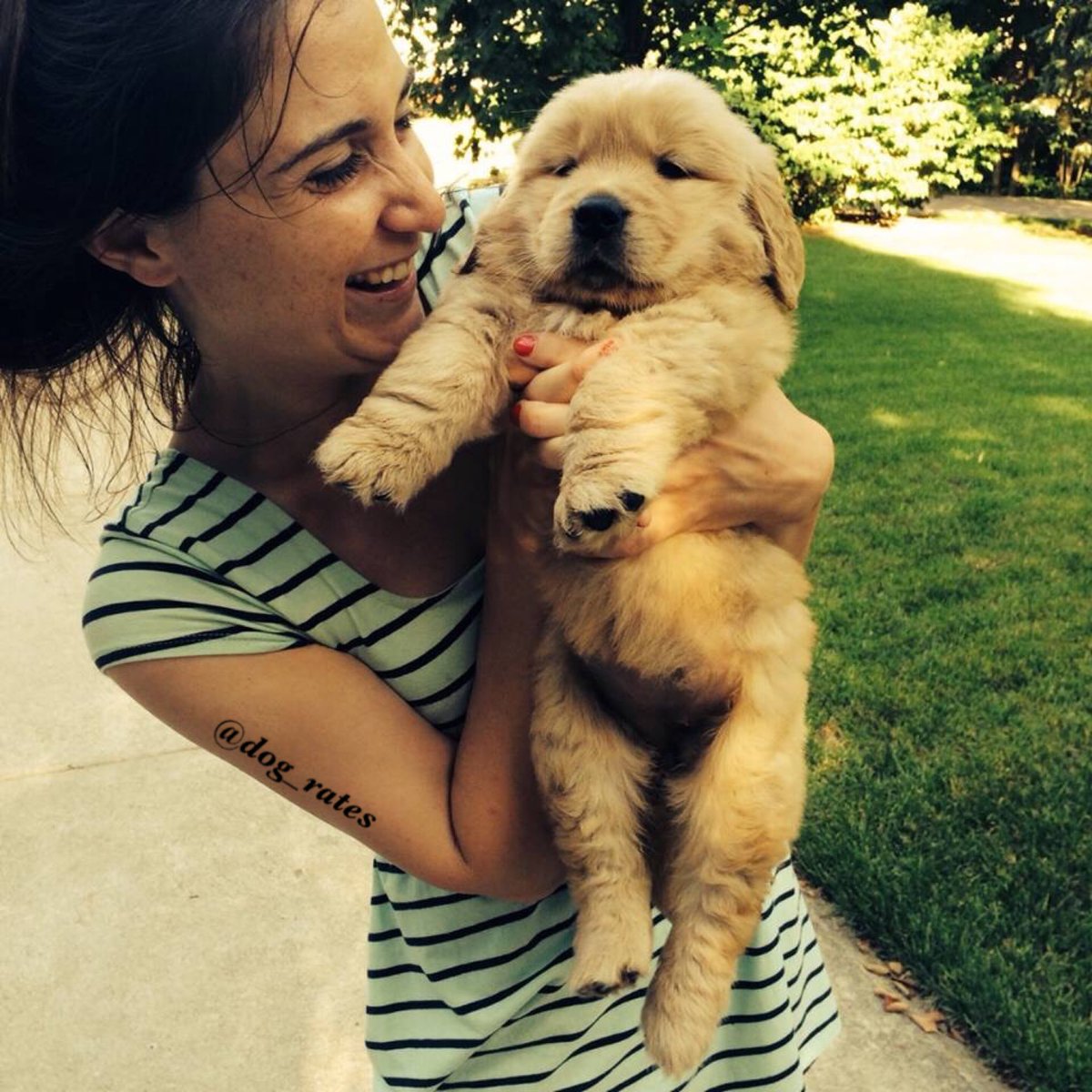 dog_rates's tweet photo. This is Poppy. She just arrived. 13/10 would snug passionately https://t.co/YGeSpyN8Gu