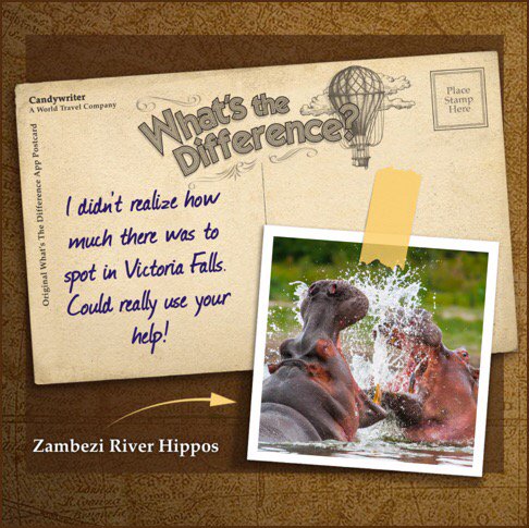 SongGirl63's tweet photo. I didn't realize how much there was to spot in Victoria Falls!

https://t.co/9NlGOfClxQ https://t.co/WOLWzBtJtZ