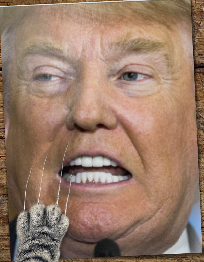 flwrpwr1969's tweet photo. Get in line.
#NMP #trumpOUT #bannonOUT #kushnerOUT #ivankaOUT #ryanOUT #gopOUT https://t.co/2vWfn7M2jo