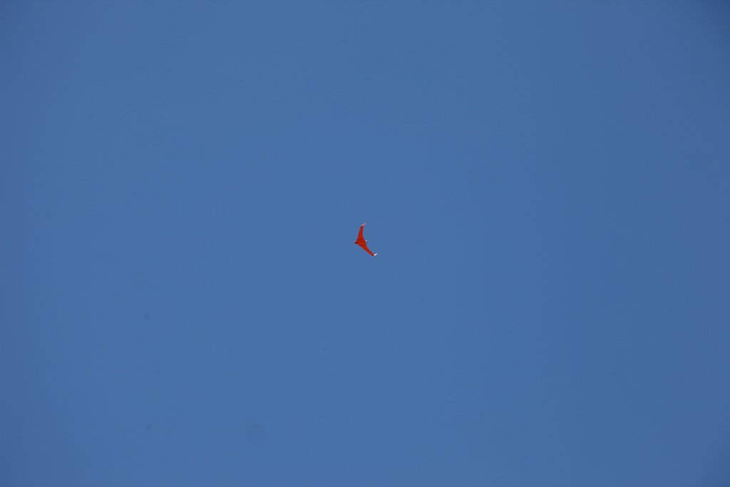 Astron_Enviro's tweet photo. Our Bramor rTK #UAV is ideally suited for surveying, w/ industry leading endurance of 2.5hr it can easily capture 400 ha during each flight. https://t.co/ZwNNxpBis5