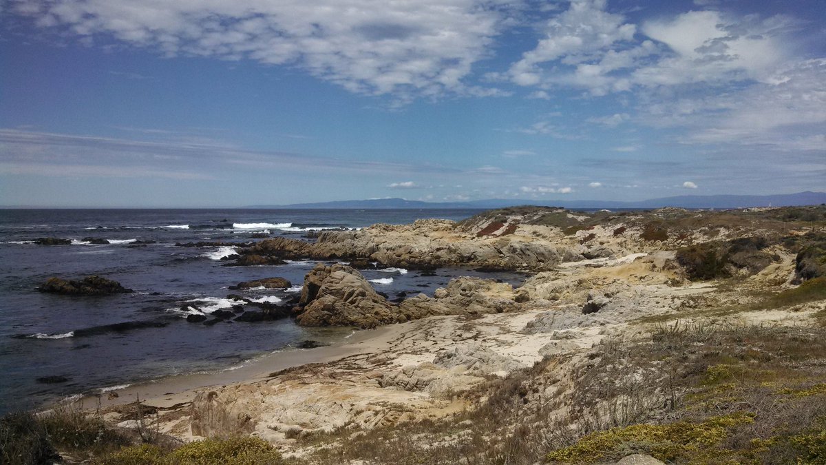 t_jh2009's tweet photo. @Hiker_Steve A5) I've done that before when visiting #PointLobos #StateReserve in order to see marine mammals on shore. #CDNHikeChat https://t.co/ix5gReVl1L
