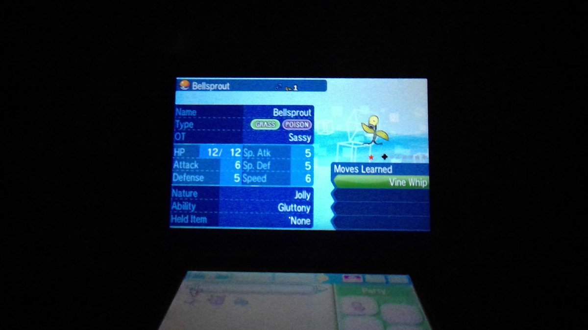 brogingersassy's tweet photo. #shiny #shinypokemon #bellsprout #shinybellsprout #5iv https://t.co/P6w1gRKpaN