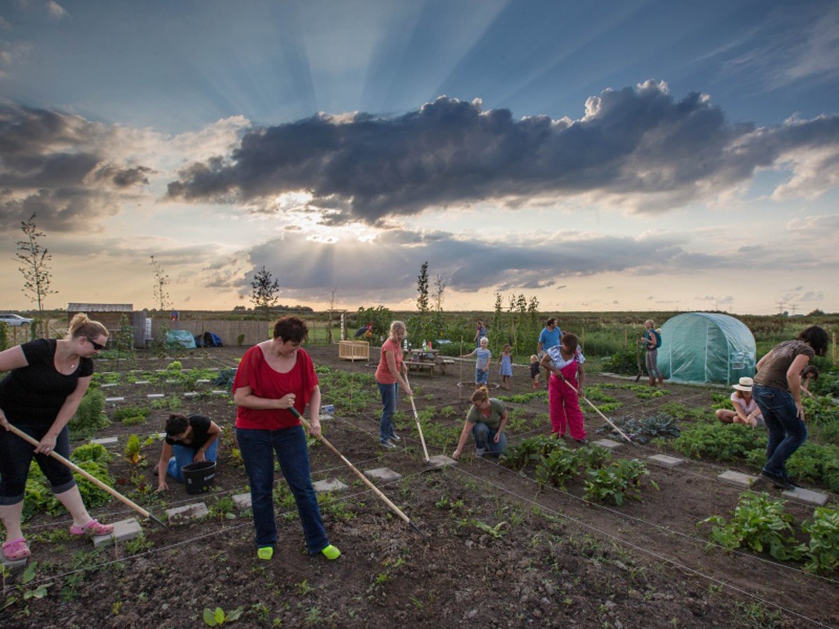 Op 23 maart &amp; 6 april: #training voor trekkers van #vrijwilligers groepen in het #groen! <a href="/Zuid/">🌗</a>-Holland ivn.nl/groendichterbi…