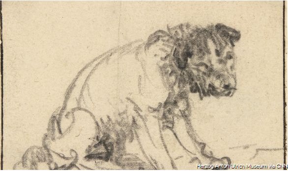 KSL5TV's tweet photo. Rembrandt drawing 'hidden' in museum for 250 years found:
https://t.co/OfccqY6wkU https://t.co/1X045jC7jZ