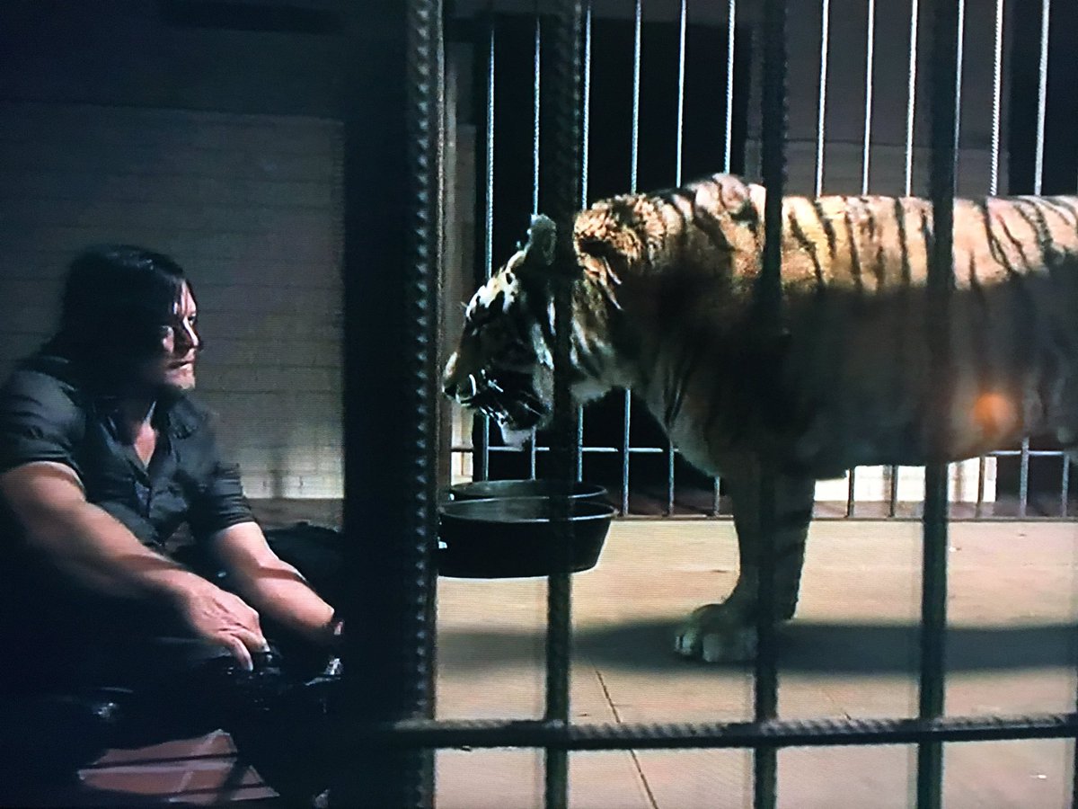 Parece que Daryl se identificou com sua nova amiga
#TWD7NaFOX