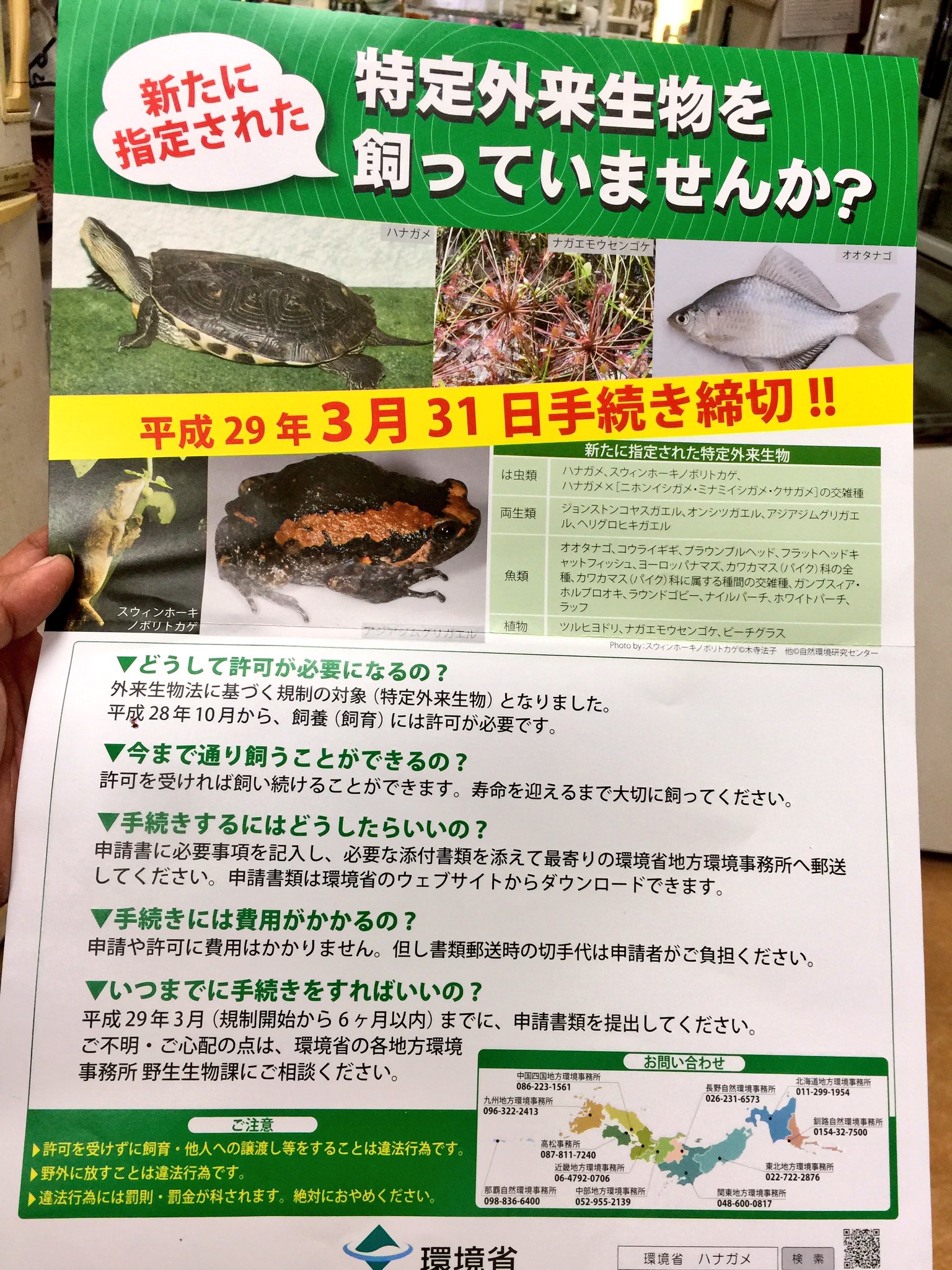 八木厚昌 Pa Twitter 環境省から自分宛に書類が着弾 ナニゴト かと思いきや特定外来生物の飼養 飼育 許可手続きの締切のお知らせを呼び掛けて欲しいお願いでした という訳で 動かさないならそのまま飼える種の保存法とごっちゃの人がたまにいますが こっちは