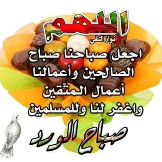 NZ889's tweet photo. صباح الخير https://t.co/ksJVhG6pp9