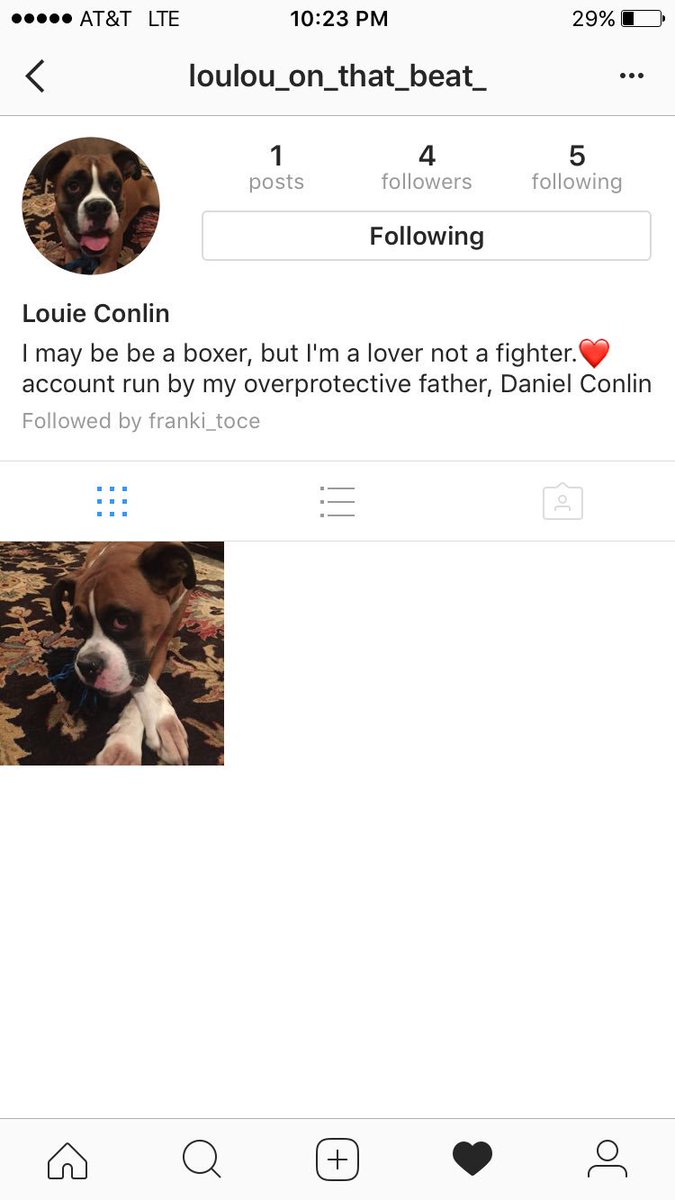 danman_conlin's tweet image. Reason #1 to not leave your dog with your sisters... #stopMurphy&amp;amp;Peyton 2k17