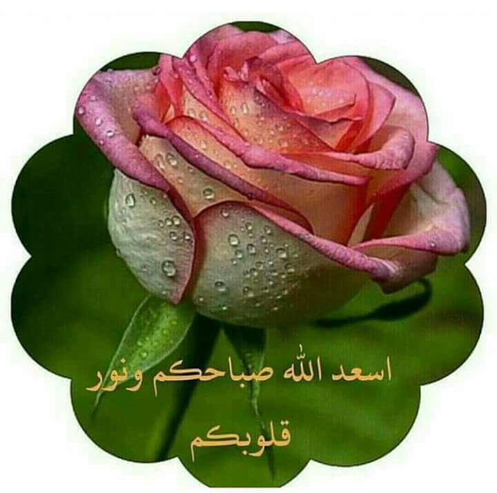 سيد باسم الموسوي (@asd2139389212) on Twitter photo 