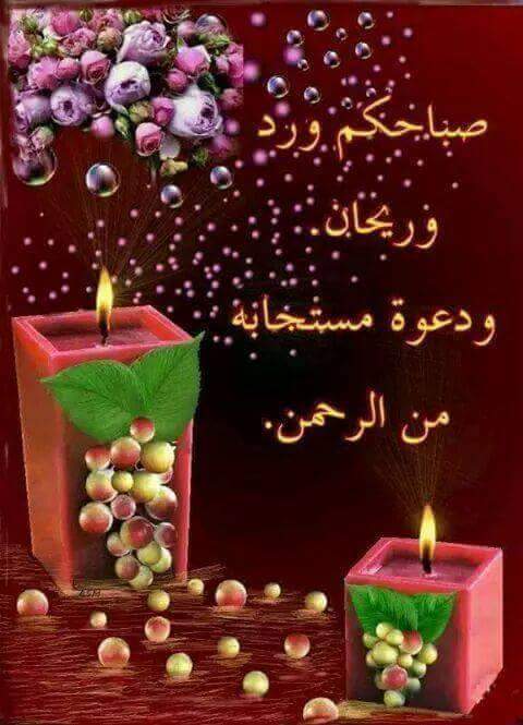 سيد باسم الموسوي (@asd2139389212) on Twitter photo 