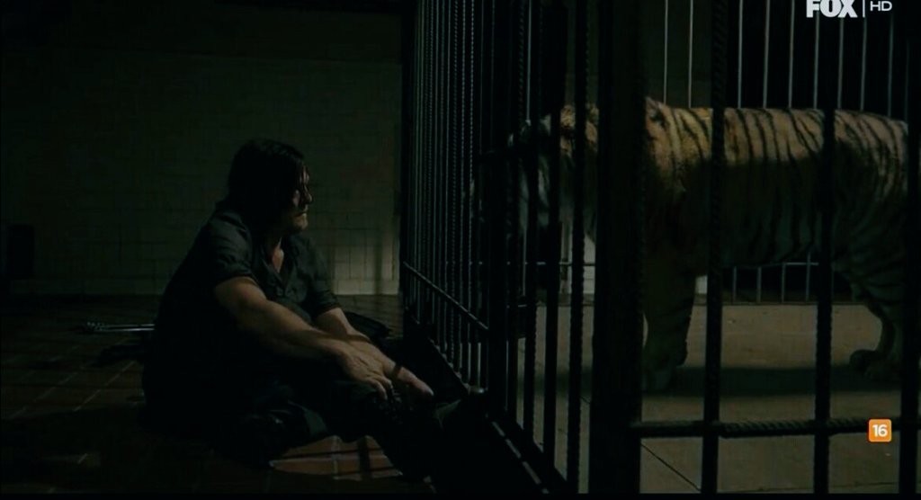 JDMNeganXD's tweet photo. Awww lindo momento...❤🐯
#TheWalkingDead https://t.co/pn8yttsIDh
