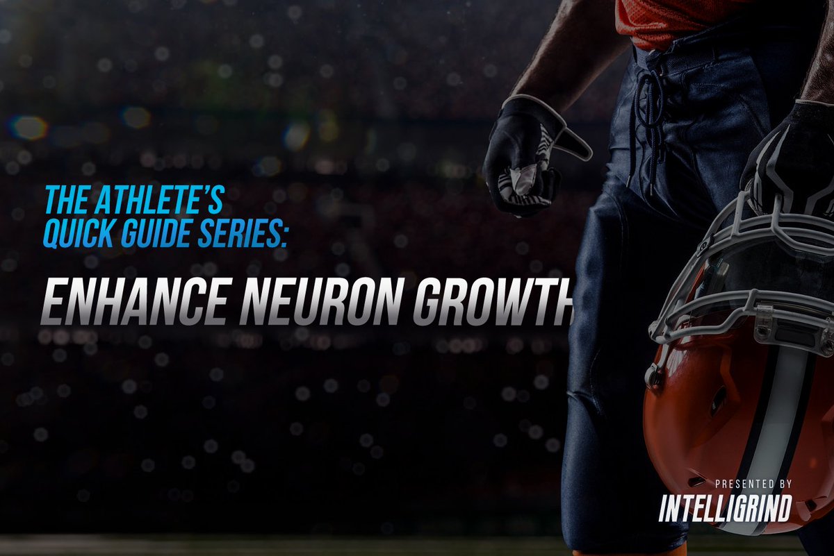 IntelliGrind's tweet photo. The #Athlete’s Quick Guide Series: Enhance #Neuron #Growth 💪😬💪
https://t.co/dAWR1wCfgQ https://t.co/cDMMr3MAuZ