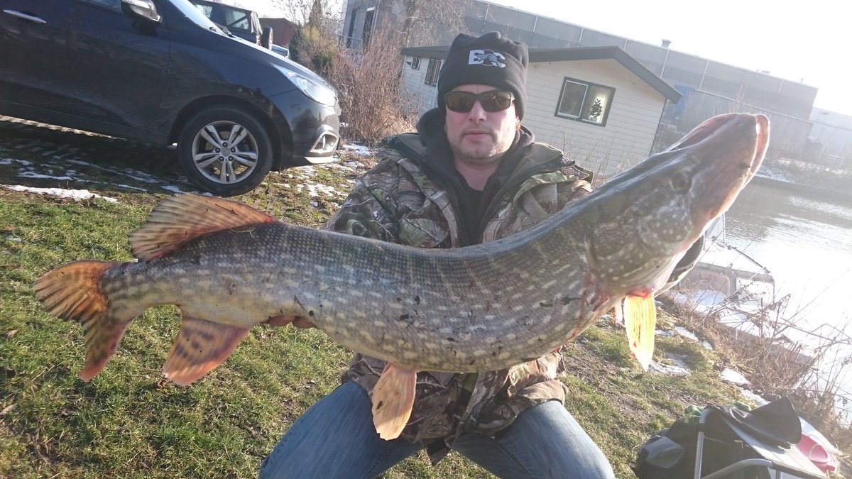 skpasterkamp's tweet photo. #TheWayToFish, fishing for big mama's https://t.co/R91JZfYxRq