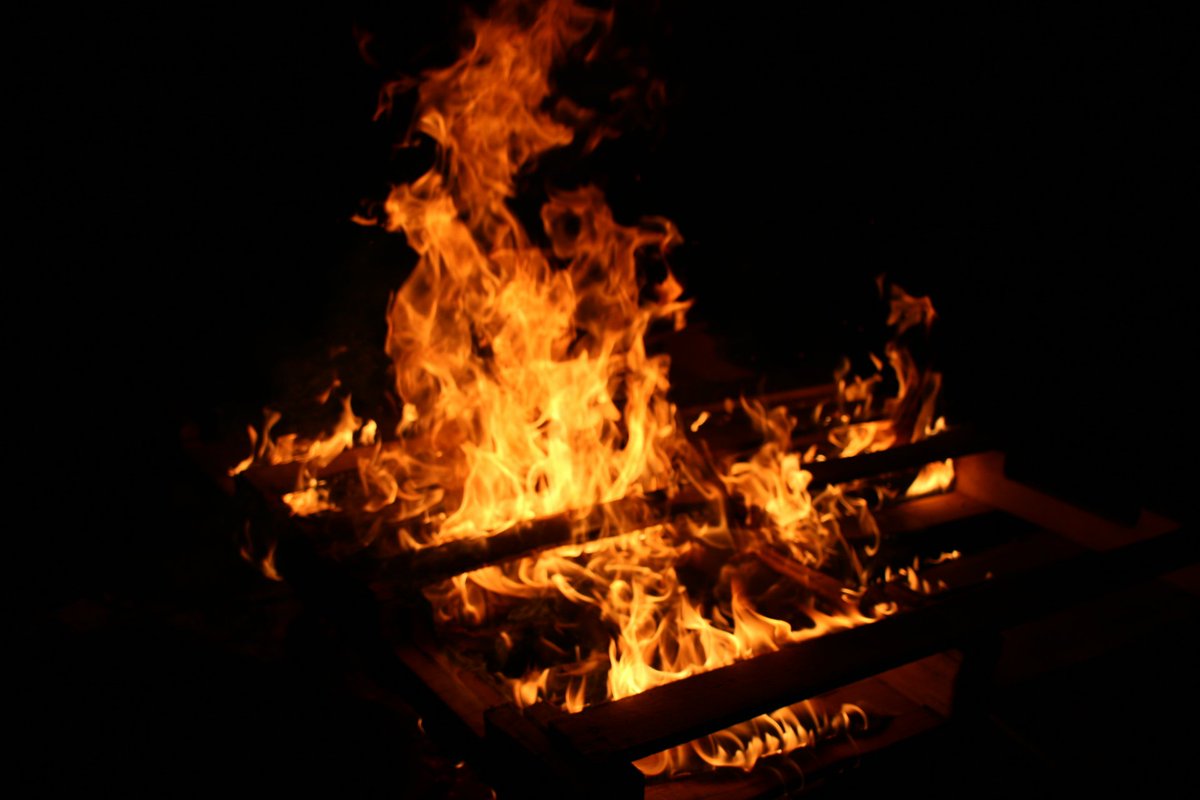 focussoftly's tweet image. 