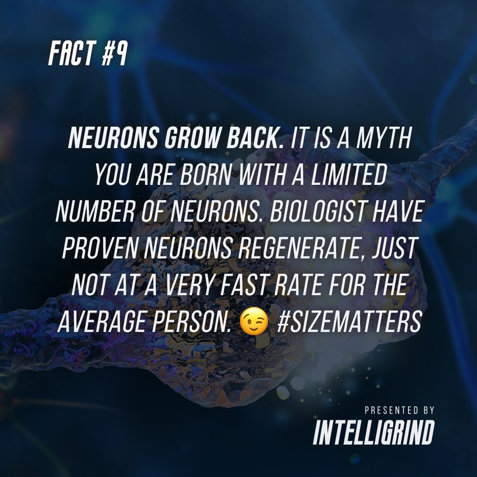IntelliGrind's tweet photo. #Fact # 9: 😉#sizematters Tag a #friend who believes otherwise. https://t.co/WZP4IIVerH