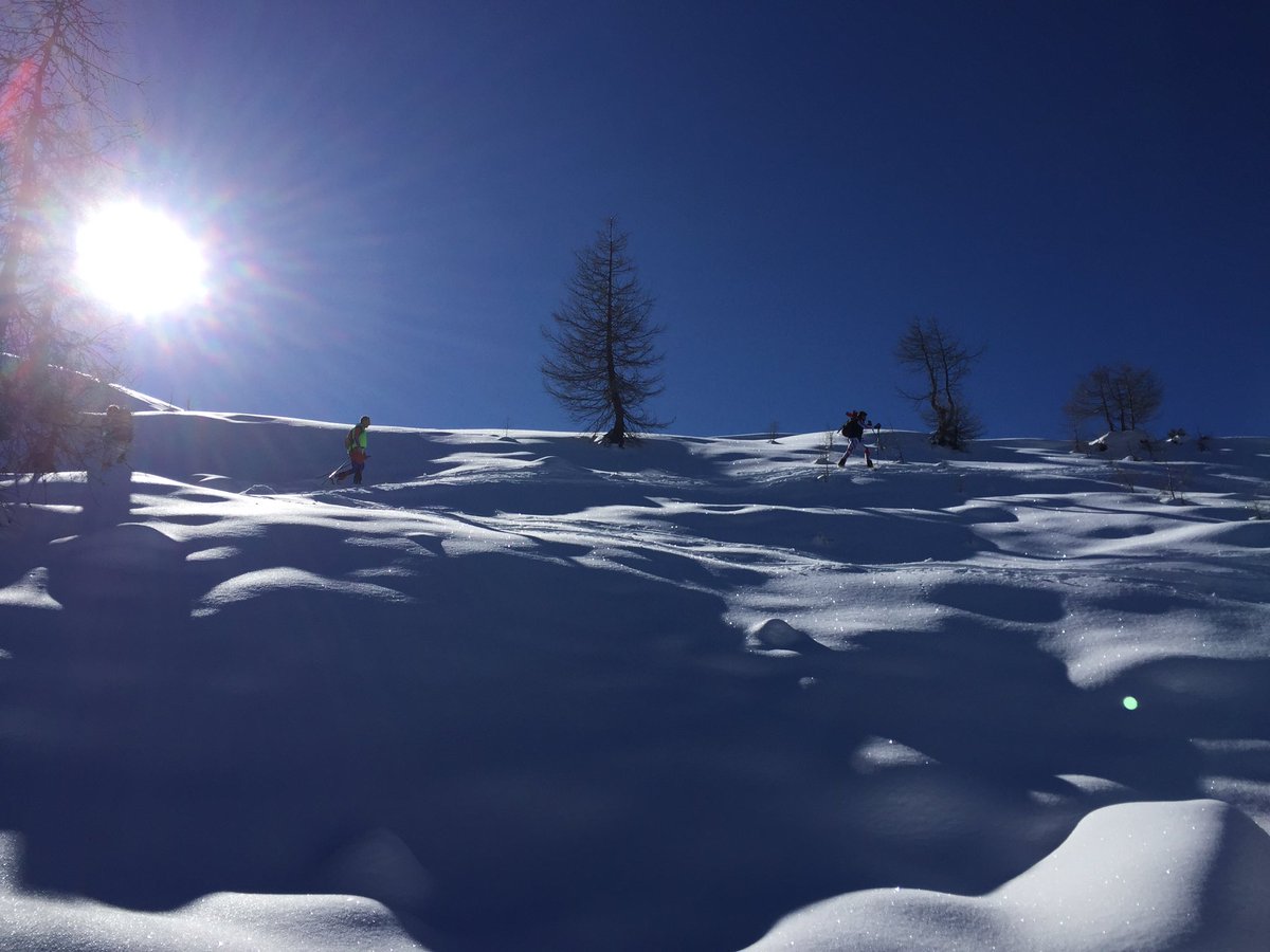 graziano boscacci tweet media