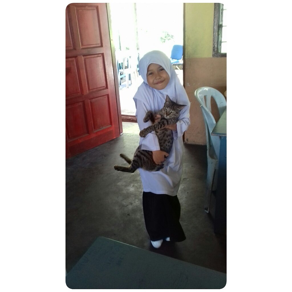 m_fahmiasyraf's tweet photo. Hai 👋 . Kucing tu manja dekat kita la 😂
#Zahirah
#Tahun2
#SRASE https://t.co/TMQP1PduU9