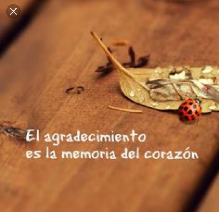 LitaPons's tweet photo. El agradecimiento es la memoria del corazón. https://t.co/9uVlWZtDeQ