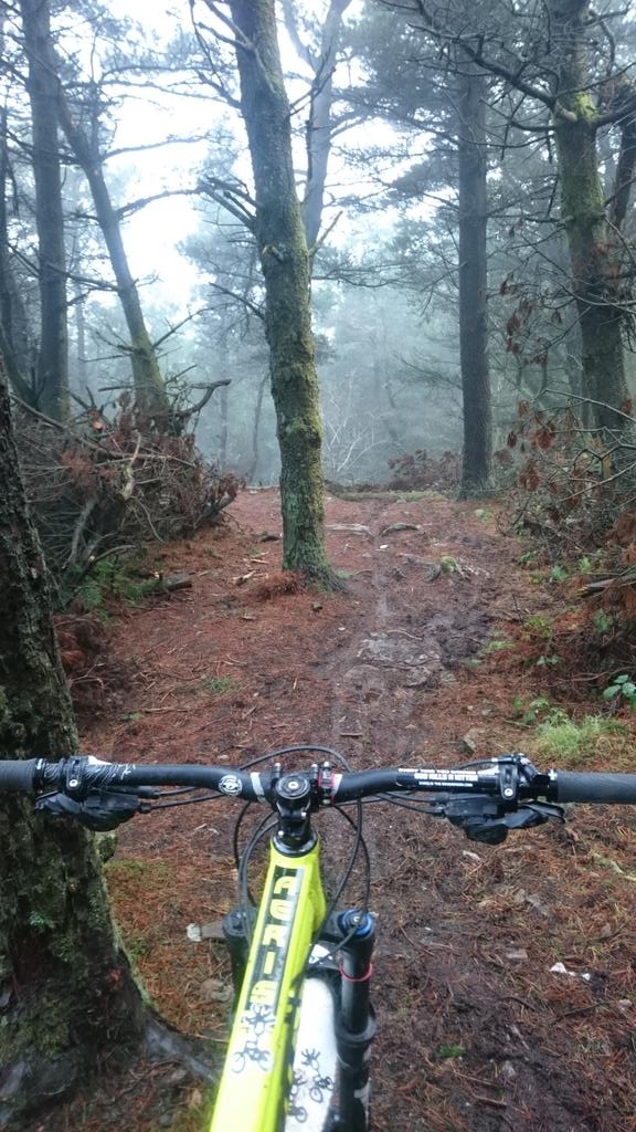 Is it not time we had a national, unified approach to combating dangerous trail sabotagers? <a href="/BritishCycling/">British Cycling</a> <a href="/MTBMeetupUK/">MTBMEETUP</a> <a href="/singletrackmag/">Singletrack Magazine</a>