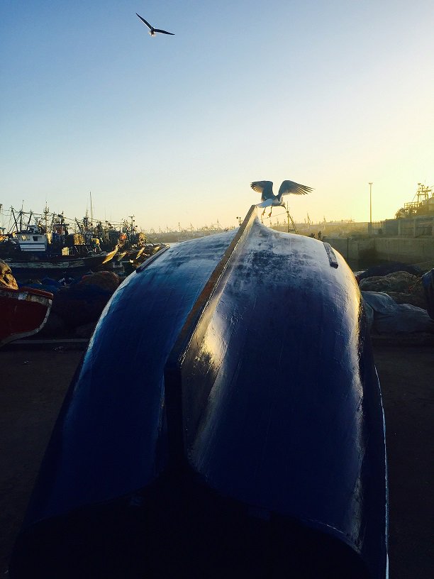 RiadEmotion's tweet photo. Venez passer un weekend detox a Essaouira
https://t.co/lr0rIn5m6H
#riademotion #GuestandHouse #riadluxury #riadarty # https://t.co/WZisHZwJBL