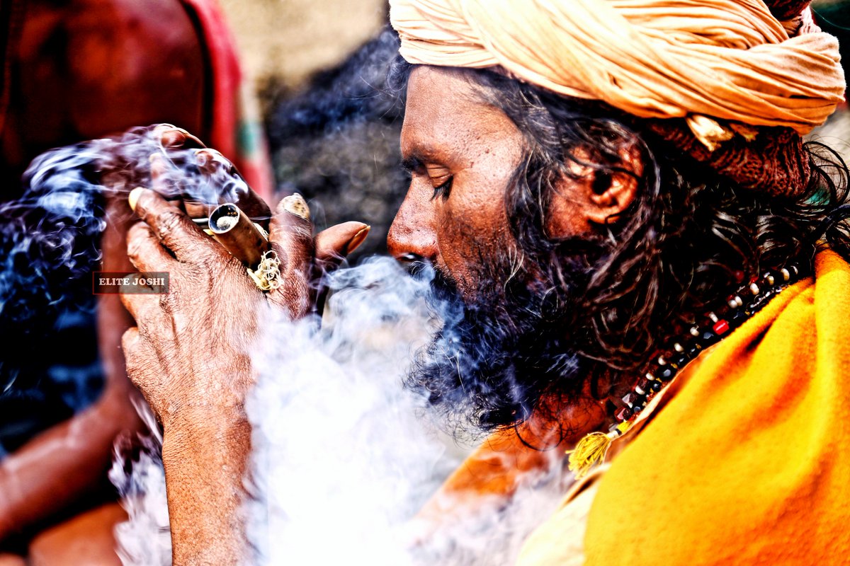 Elite Joshi tweet media