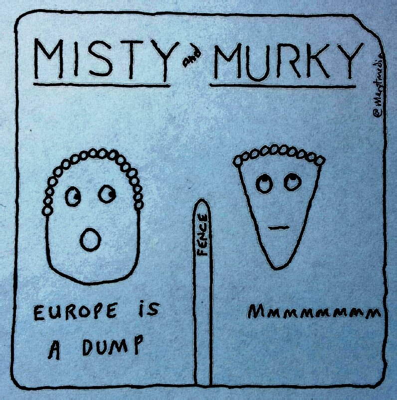 MistyAndMurky's tweet photo. https://t.co/vczBgotWFq