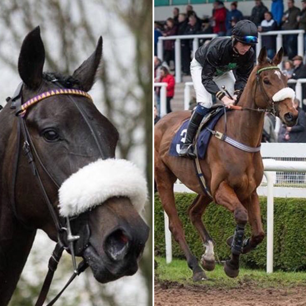 O Sherwood Racing tweet media