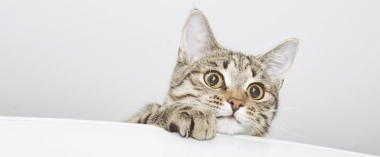 smartsalesthink's tweet image. How to Increase Email Open Rates Using Intrigue hubs.ly/H06jj0h0 #improveemailopenrates #emailmarketing #betterconversion