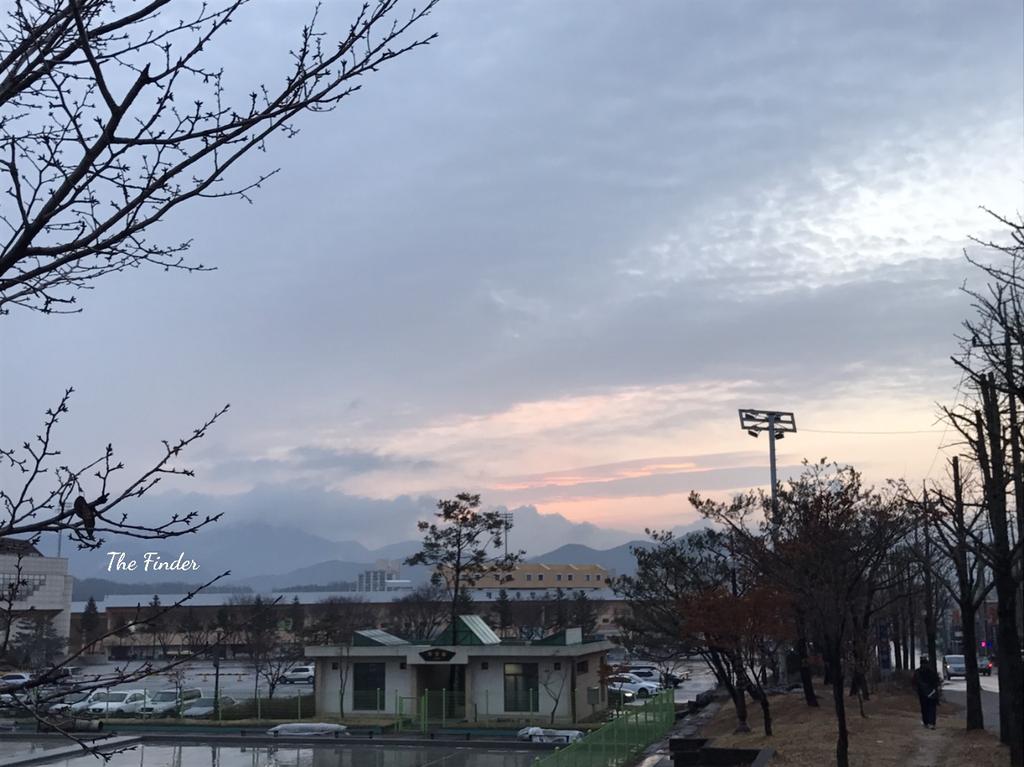 [사진동호회]The Finder  - 공설운동장
노을진 공설운동장 입니다
#사진 #Thefinder #더파인더 #제천 #Photo
#노을 #하늘 #마을 #가로등 #나무 #자연 #풍경 #공설운동장 #저녁
cafe.naver.com/thefinder16