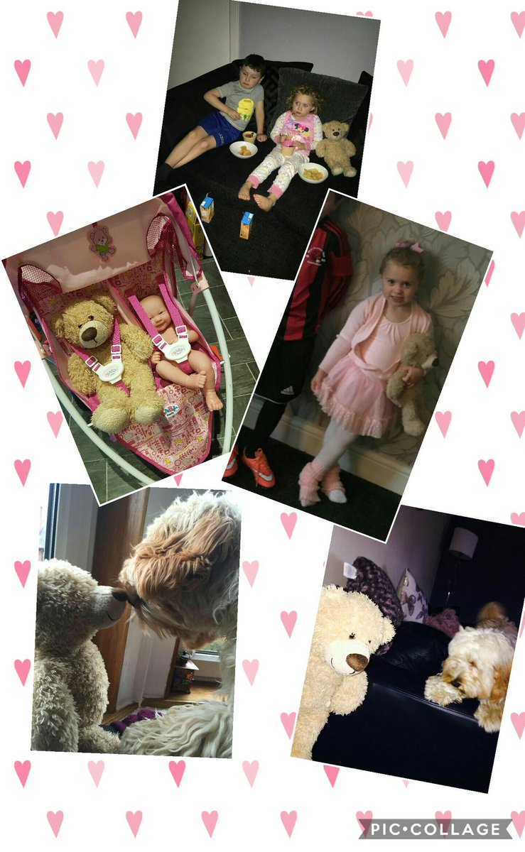Sophia Rose had a chilled weekend with golden bear and Gorgie, her ballet teacher's pooch, took a real shine to golden bear <a href="/nurserystm/">St Mary's Nursery</a>