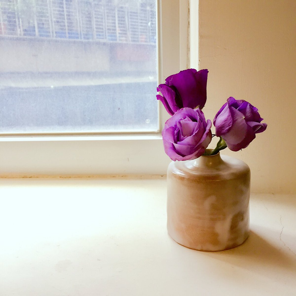 Mitao_Studio's tweet photo. A happy corner in the room .Three purple lisianthus and a little unadorned vase #Eustoma #Lisianthus #purple #ceramics #vase #simlple https://t.co/bB34wCELnU