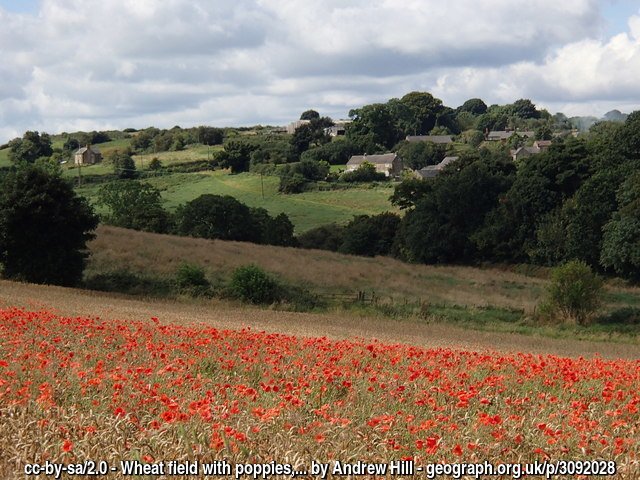 geograph_bi's tweet photo. Wheat field with poppies, and view to #Astwith, #Derbyshire
https://t.co/UWFkN8MTjX © Andrew Hill https://t.co/jWab3WGeOc