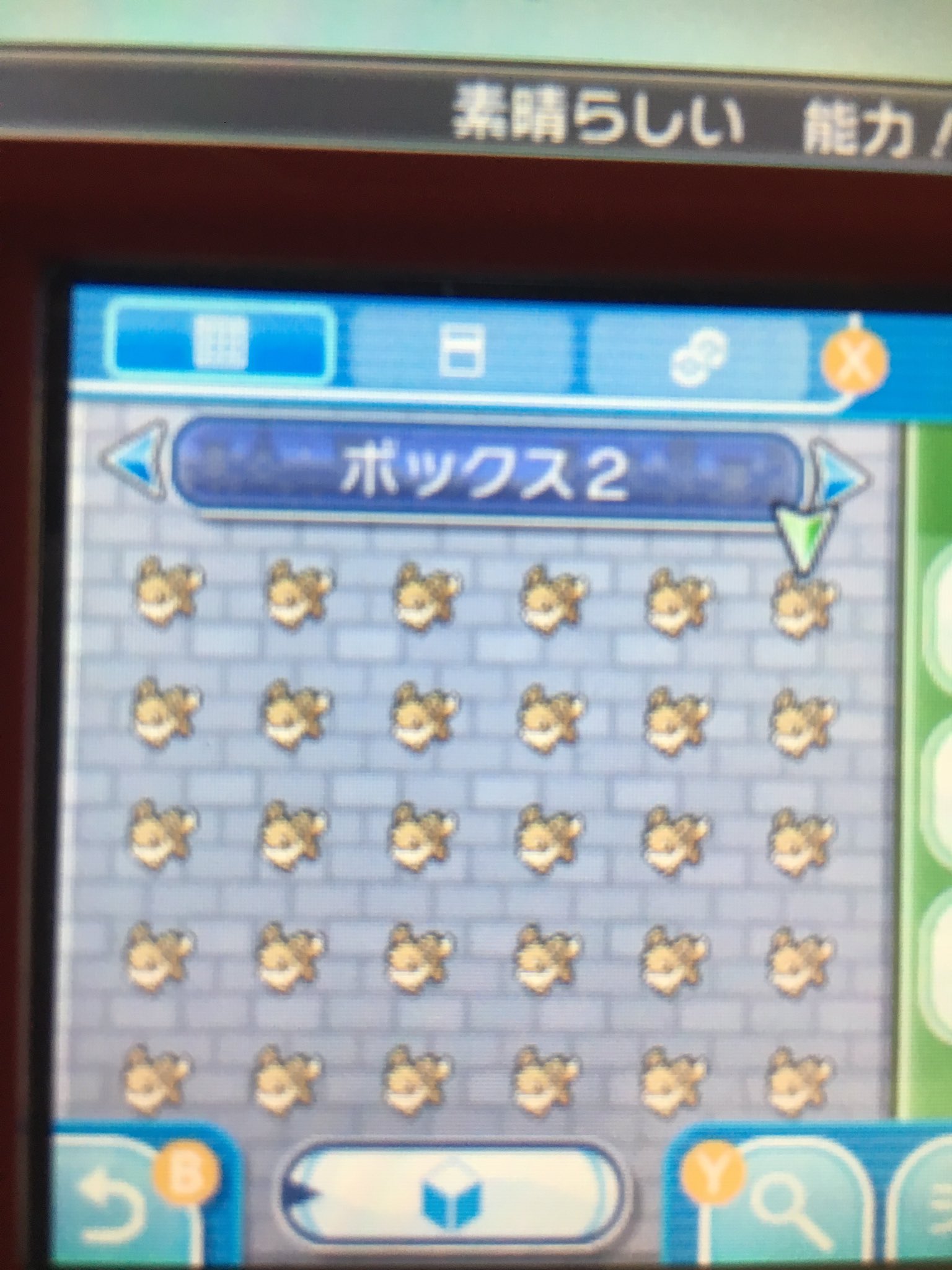 توییتر なつき در توییتر ポケモン配布します 今回はラブボおだやかイーブイです 今回は夢特性の配布になりますのでご了承くださいm M参加はrtとフォローです 締切は2月28日の11時59分までです 是非参加してください ポケモンサンムーン ポケモン配布