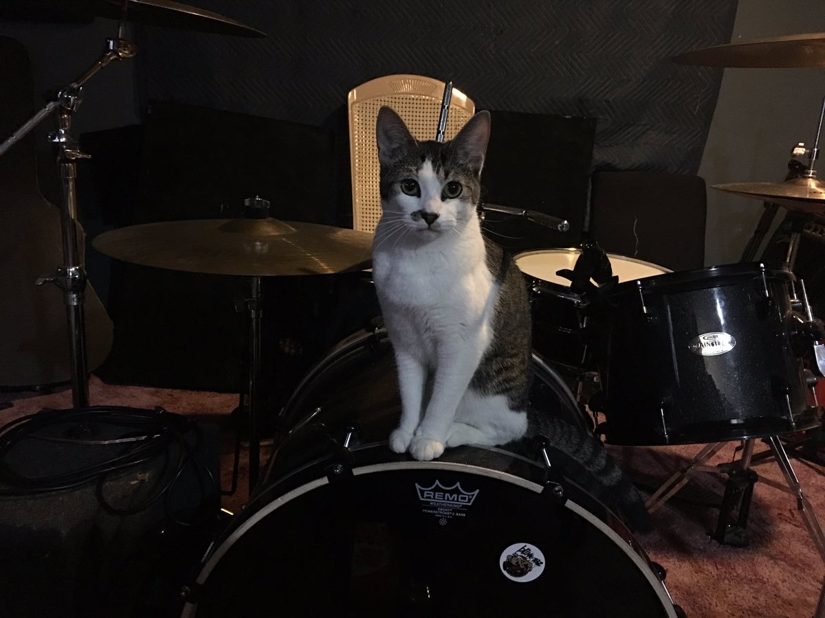 LifeTheEveryday's tweet photo. She's all about that bass tonight https://t.co/BJ6ItVf6P7