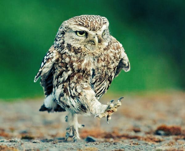 SavedRadically's tweet image. Focus
Can you go the distance ~ 
Two many distractions keep you from
staying up with Gods pace
Focus on Jesus and keep His direct
Line open