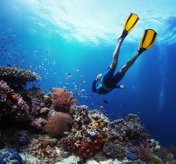 VisitGreecegr's tweet photo. Vacations for action seekers
#Greece #Travel #VisitGreece #ttot 
https://t.co/fvePxcetRc https://t.co/kwYXZySfzo