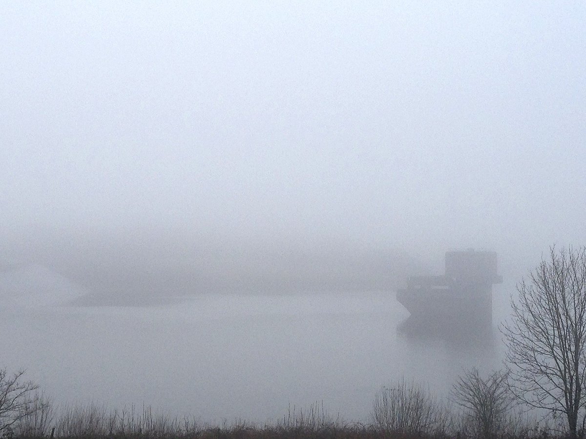 Good morning on this misty Monday! #SpotTheDucks #mondaymotivation <a href="/RoadfordLake/">Roadford Lake</a> #Devon