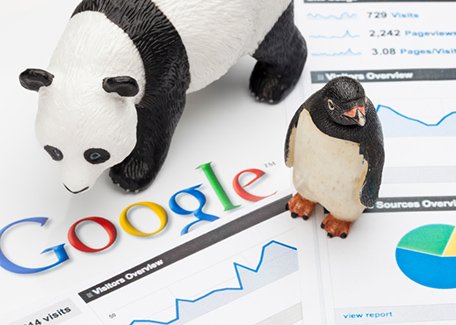 VibrantWorx's tweet photo. Get free @penguin and @panda recovery services with @VibrantWorx . Get free quote https://t.co/g38Sxydt7l https://t.co/u1RlkaxmCz
