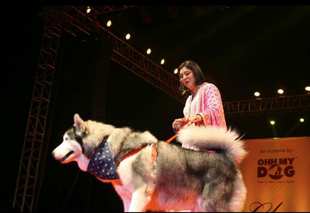 DogsGlam tweet picture