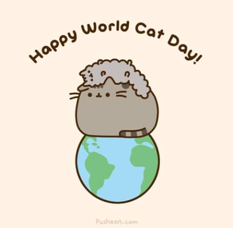 InfoBekigat's tweet photo. Hui celebrem el dia mundial del gat. #gats #diamundialdelgato #20defebrer #orgullodegato https://t.co/378QAgb4Mq
