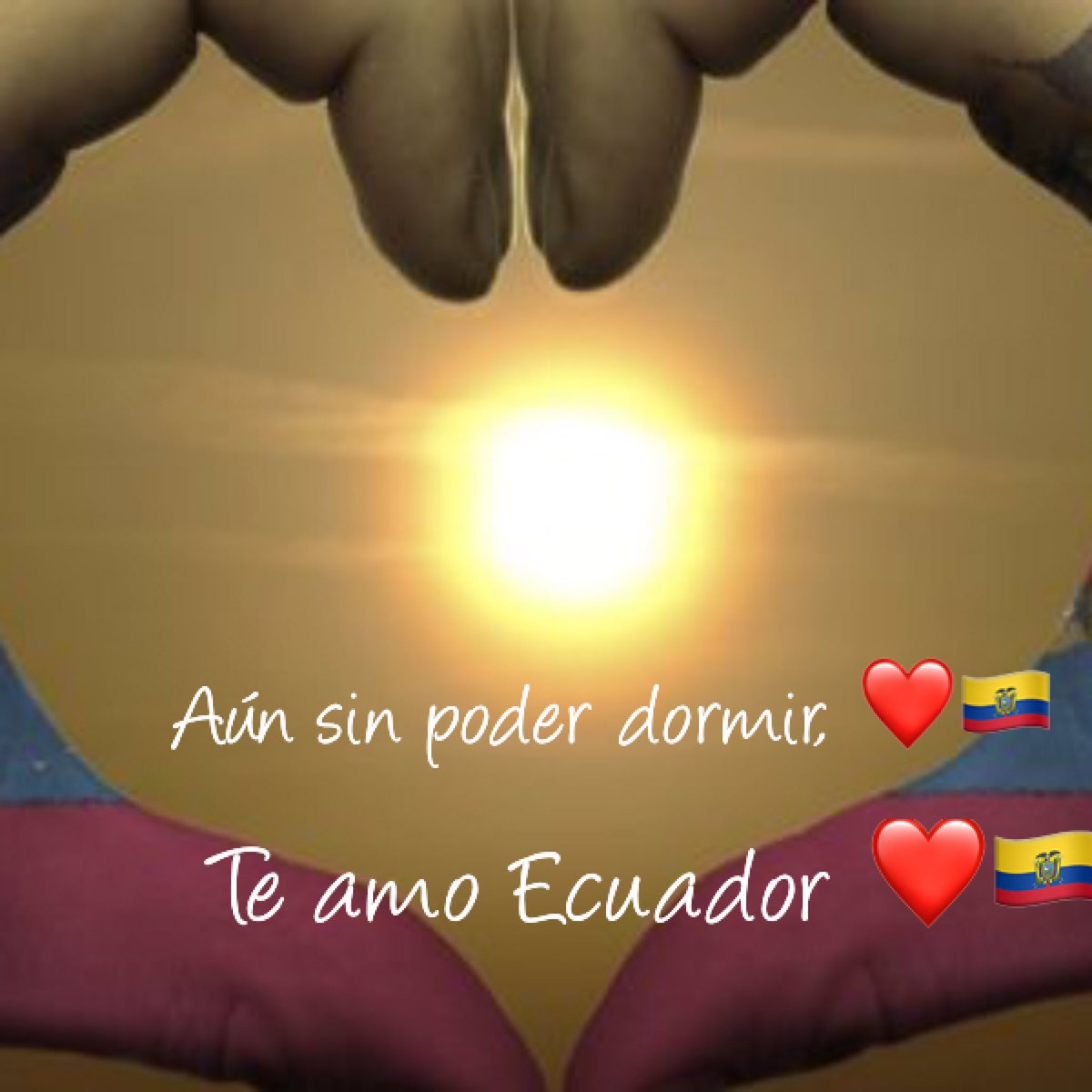 NELLYPAZMINO's tweet photo. ❤🙏🇪🇨 quisiera tener que decir,se trata de amar un país, en el que nací, Dios en tus manos estamos y con fe te entregamos todo nuestro camino https://t.co/kH3F8DXNA2