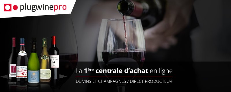 PlugWine's tweet photo. Déjà plus de 1 500 cuvées de toutes les régions de France ! Pros de la restauration à découvrir sans attendre ▶️ https://t.co/QVbZKQDFgB https://t.co/lwKsMCvBkL