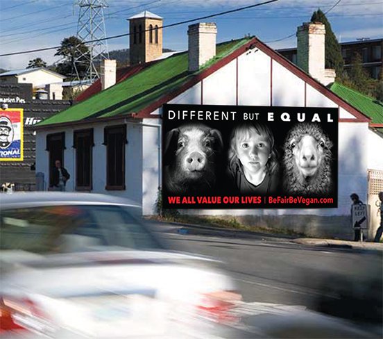 BeFairBeVegan's tweet photo. #BeFairBeVegan campaign has come to #Hobart #Tasmania :) If you want the  campaign to come to your hometown -->  https://t.co/MNedzLIFCj https://t.co/Z45vhTvz95