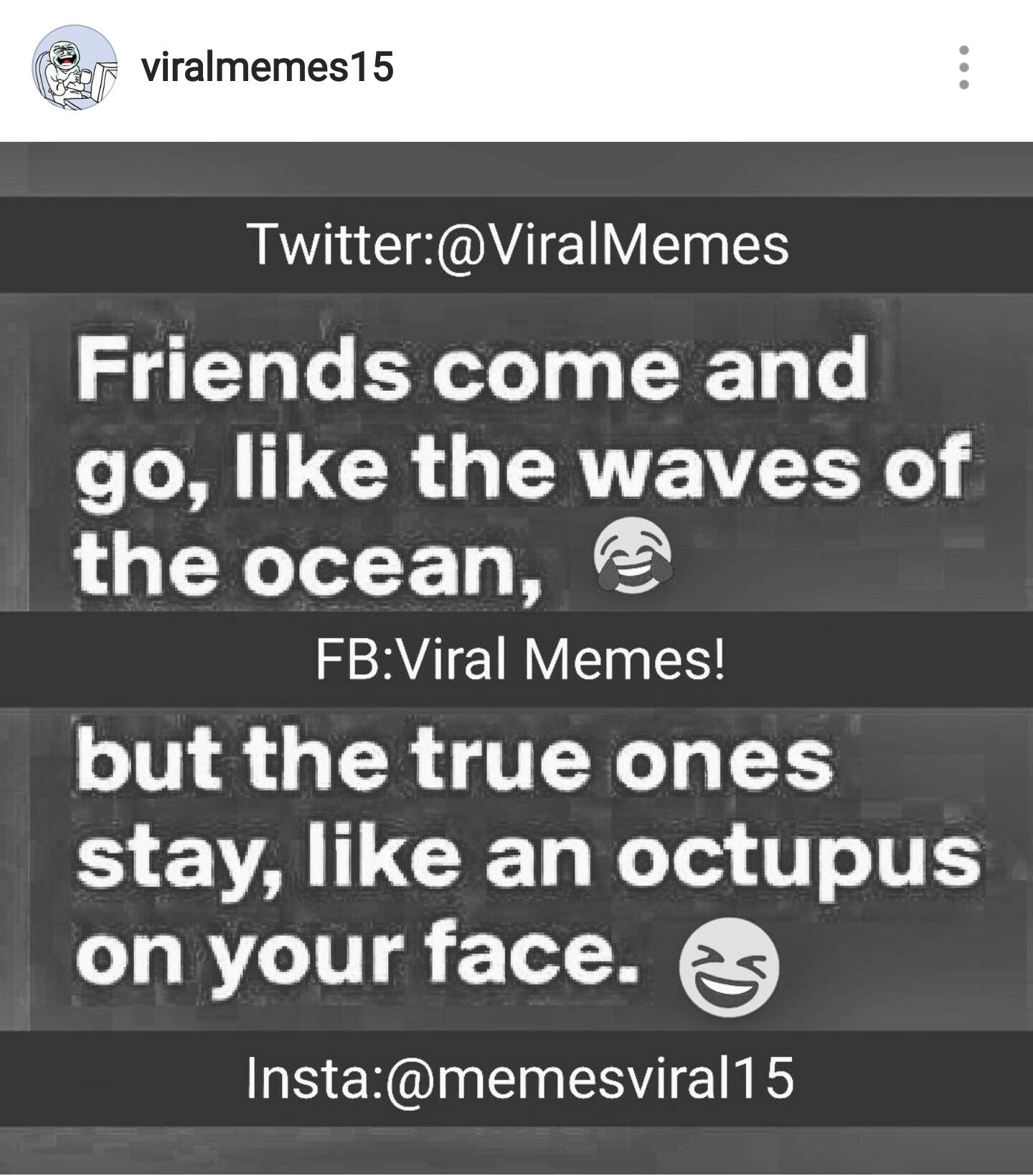Chloe Xaviara'S Viral Memes Explode! - kbtje3z
