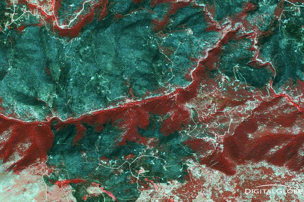 EsriIndia's tweet photo. ArcGIS will now offer satellite imagery and powerful remote sensing analytics https://t.co/QVqia4yIRC via @geoawesomeness #esri #imagery https://t.co/xNV5Sy2OeD